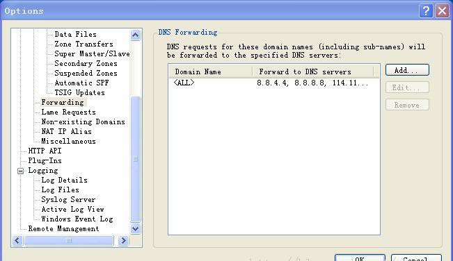 Simple DNS Plus绿色版