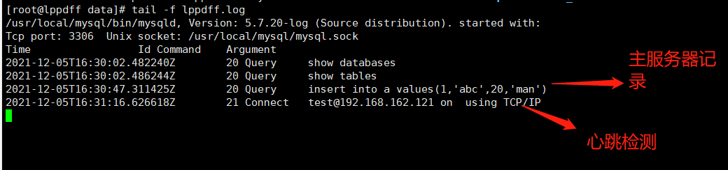 MySQL 集群Cluster