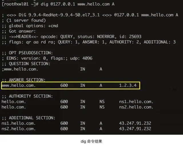 一文搞懂 DNS 基础知识，收藏起来有备无患~