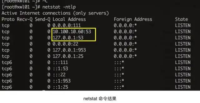 一文搞懂 DNS 基础知识，收藏起来有备无患~