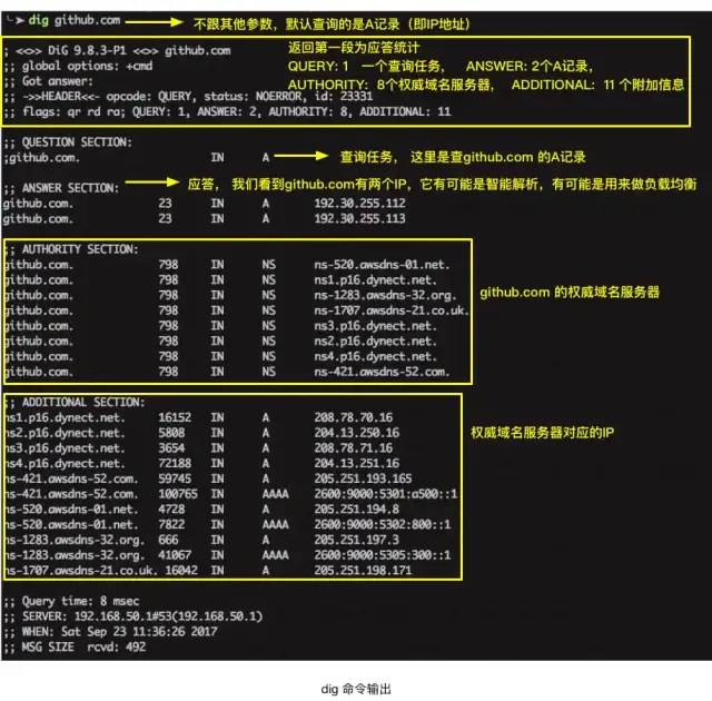 一文搞懂 DNS 基础知识，收藏起来有备无患~