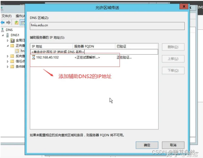 Windows server DNS服务器配置与管理