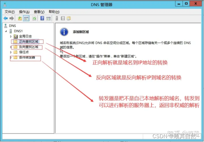 Windows server DNS服务器配置与管理