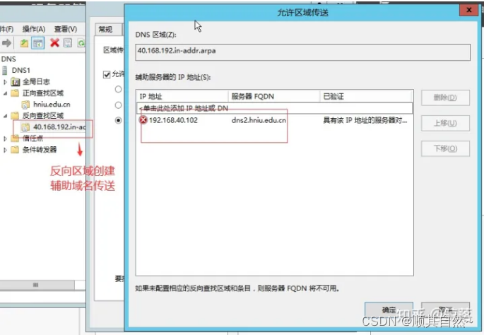 Windows server DNS服务器配置与管理