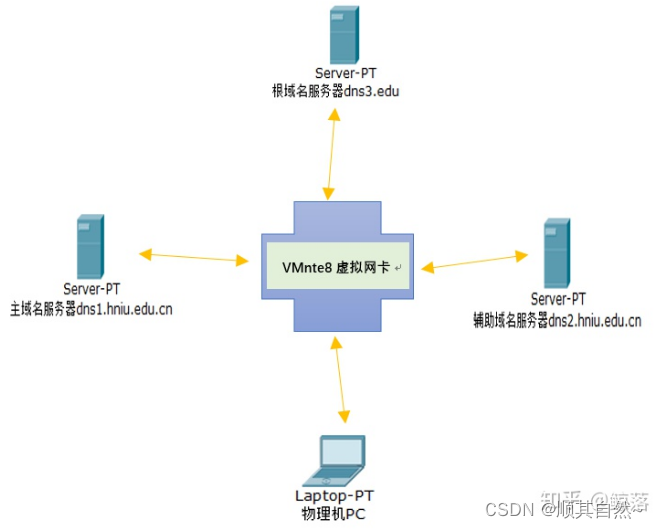 Windows server DNS服务器配置与管理