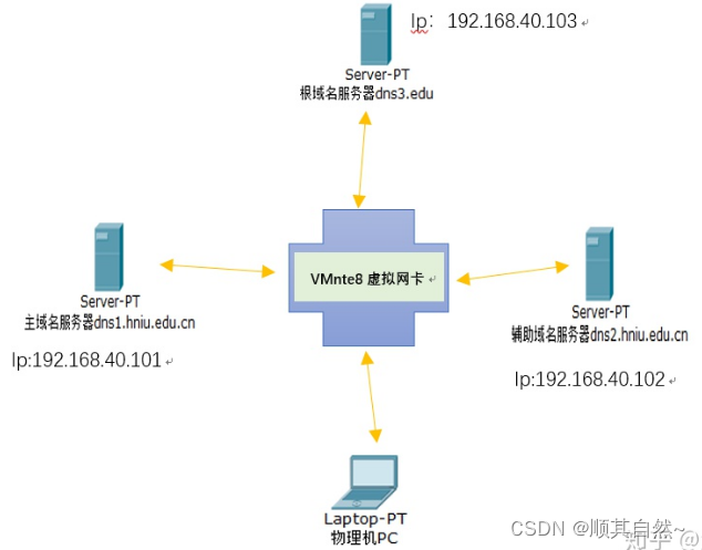 Windows server DNS服务器配置与管理