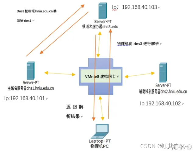 Windows server DNS服务器配置与管理