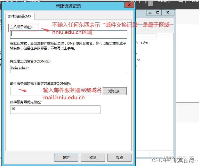 Windows server DNS服务器配置与管理