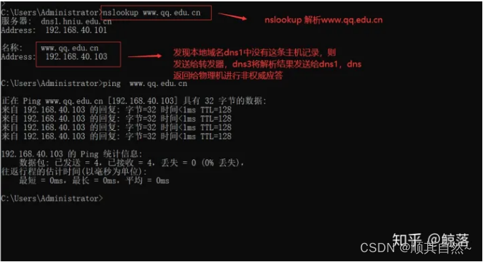 Windows server DNS服务器配置与管理