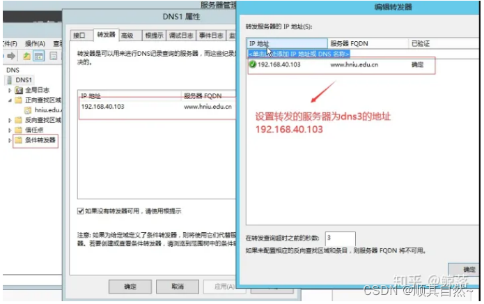 Windows server DNS服务器配置与管理