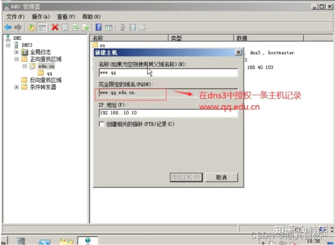 Windows server DNS服务器配置与管理