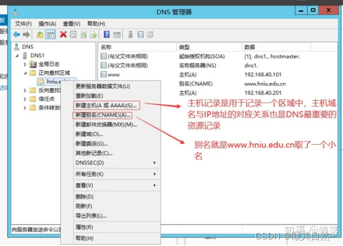 Windows server DNS服务器配置与管理