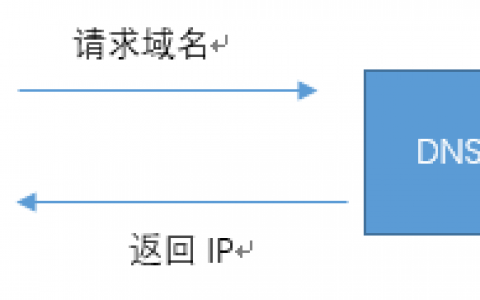 DNS log注入原理