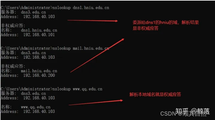 Windows server DNS服务器配置与管理