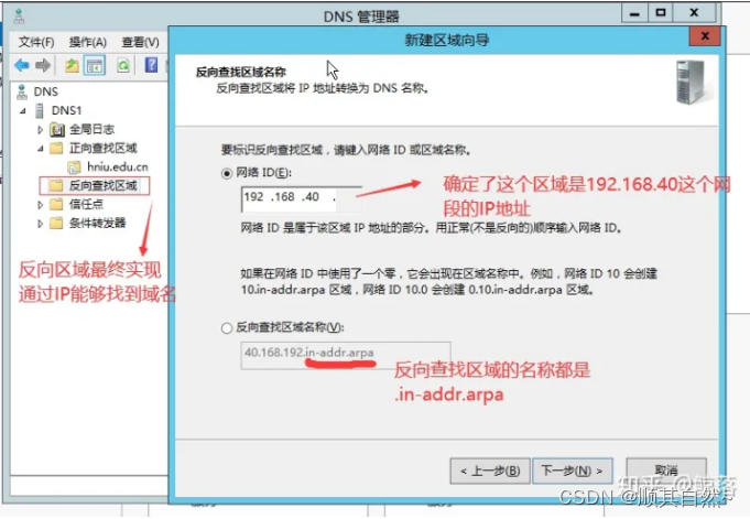 Windows server DNS服务器配置与管理