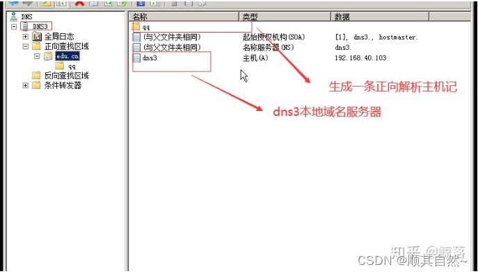 Windows server DNS服务器配置与管理