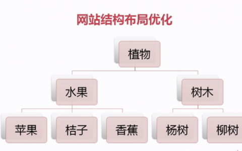 SEO优化