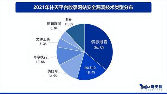 《2021中国网站安全报告》