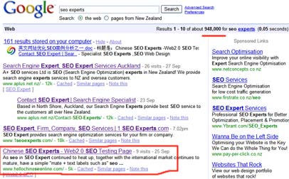 seo expert