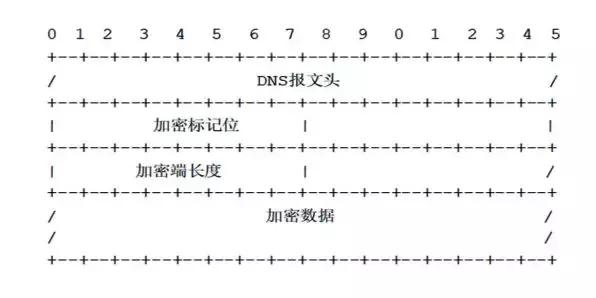 基于隐私保护技术的DNS通信协议介绍基于隐私保护技术的DNS通信协议介绍