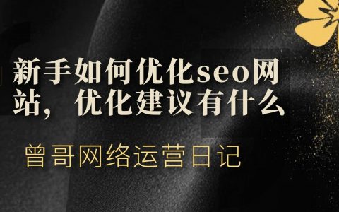 新手如何优化seo网站，优化建议有什么