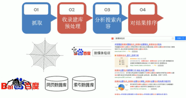 搜索引擎优化(SEO)