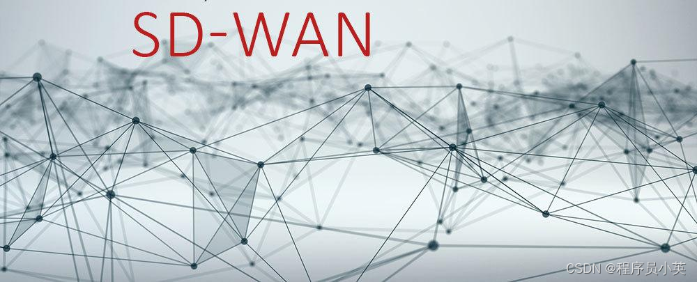 架构解密从分布式到微服务：深入理解网络，CDN到SD-WAN